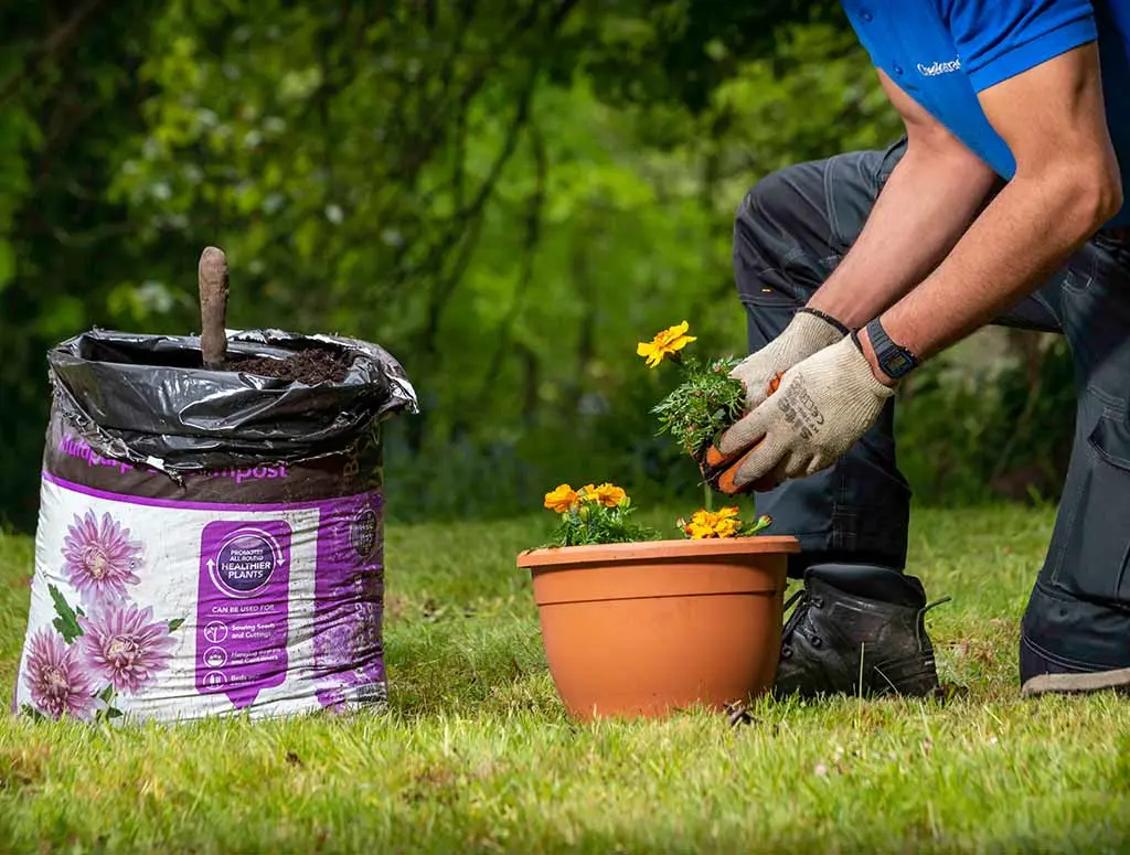 https://www.checkatrade.com/blog/wp-content/uploads/2021/07/starting-a-gardening-business.jpg