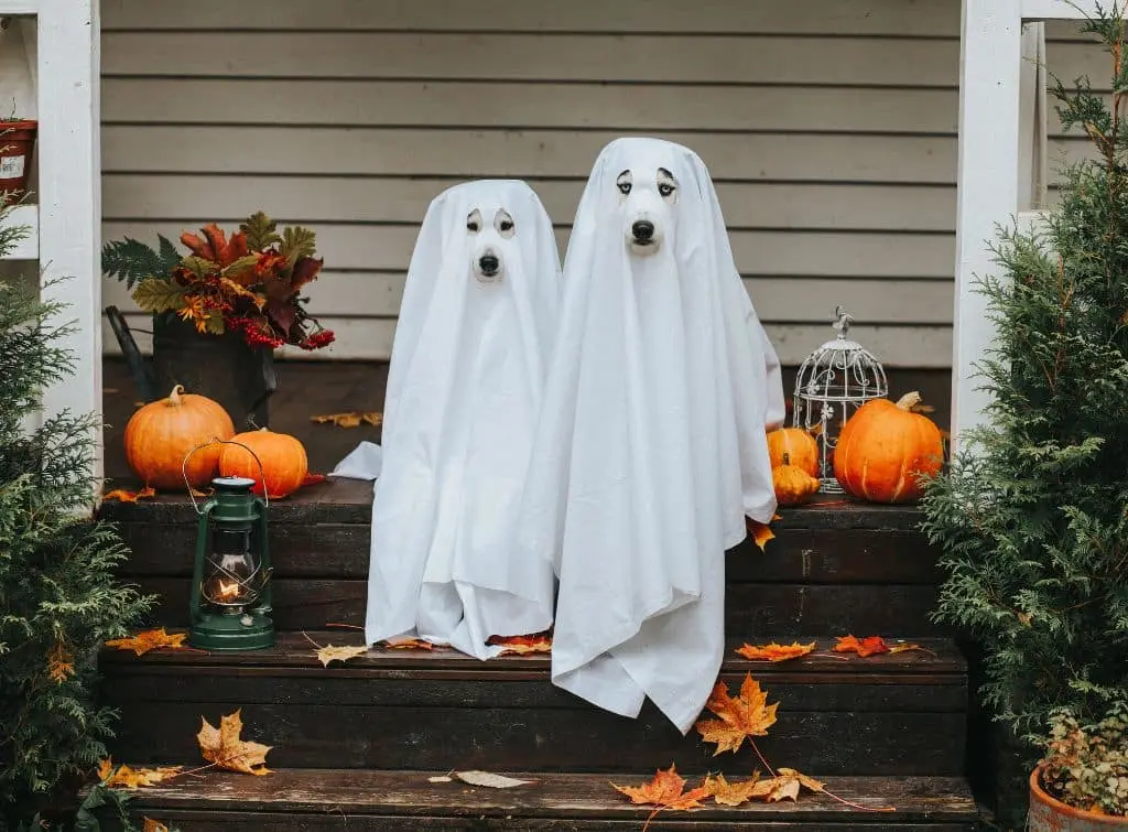 Halloween ghosts sitting on a porch for spooky house ideas