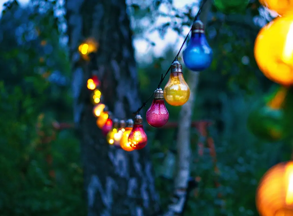 multicoloured fairy lights