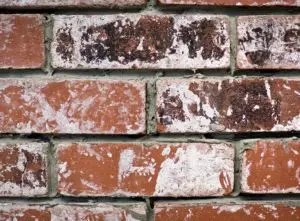 white paint on brick exterior