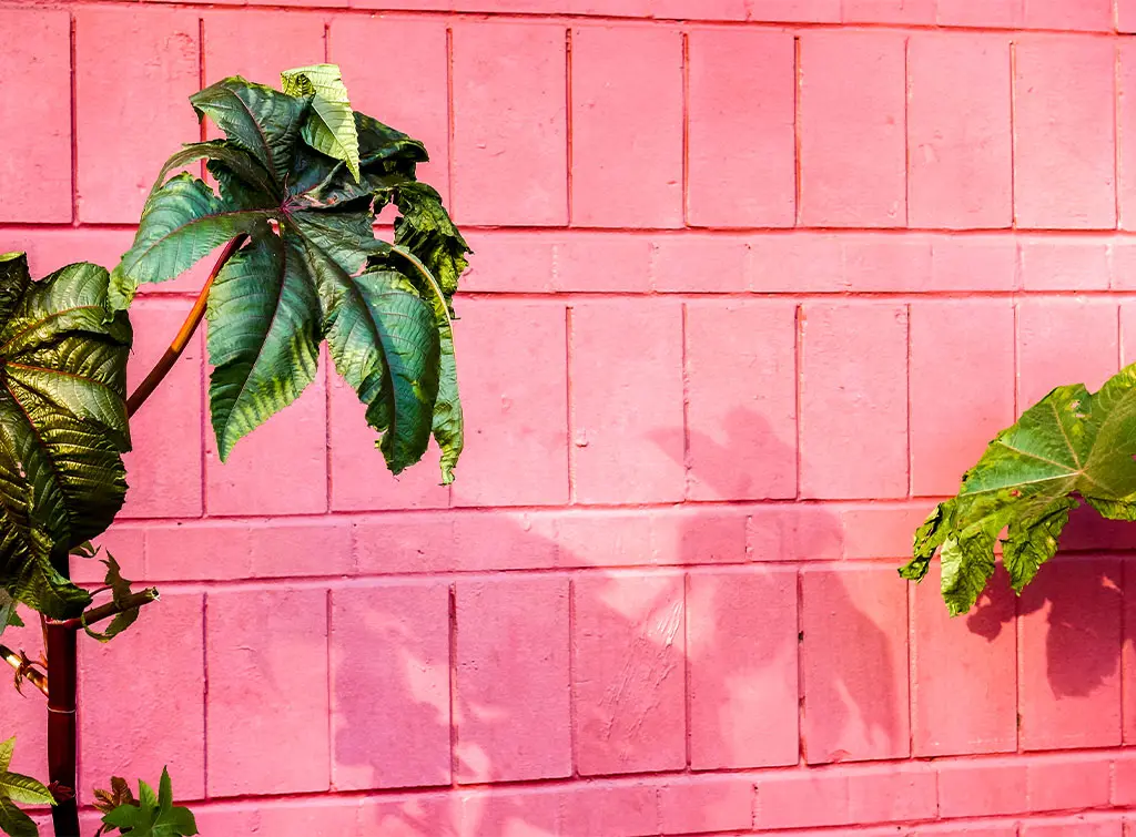 brick garden wall ideas