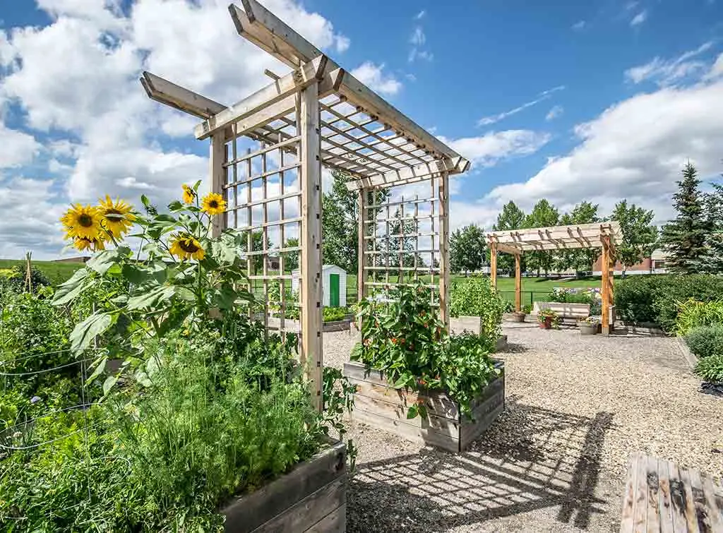Cottage garden ideas