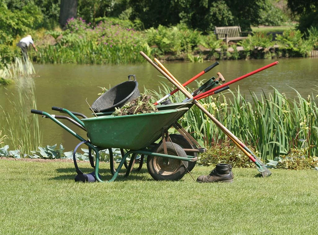 https://www.checkatrade.com/blog/wp-content/uploads/2023/10/pond-landscaping.jpg