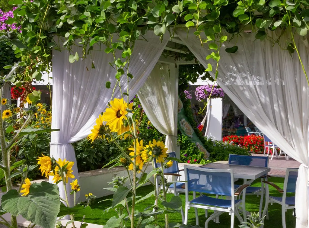 Pergola with curtains