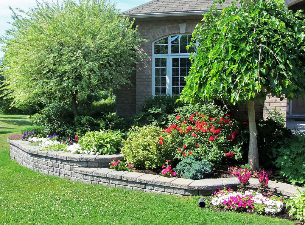 garden wall raised border ideas