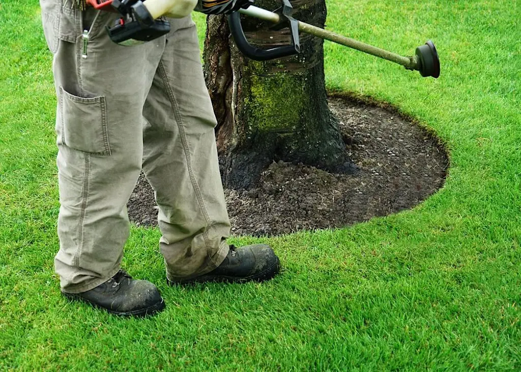 Grounds maintenance edging