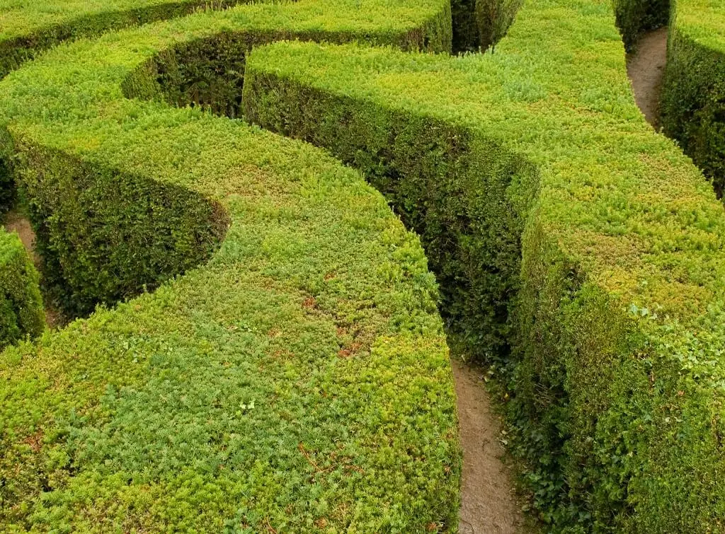 Formal hedge trimming