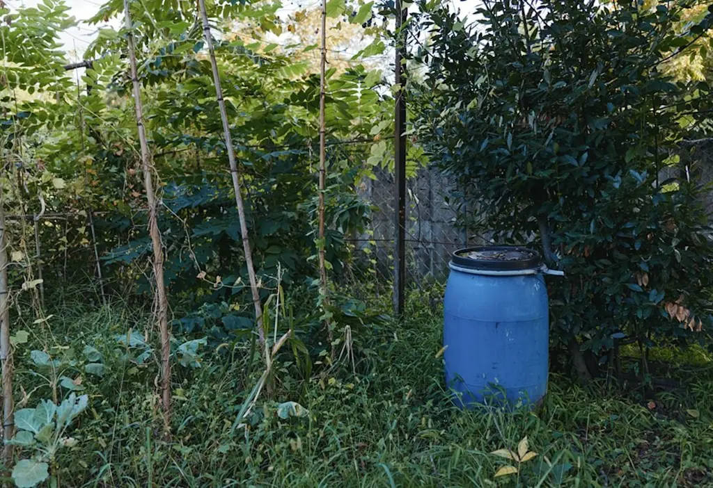 Untidy garden should be cleared