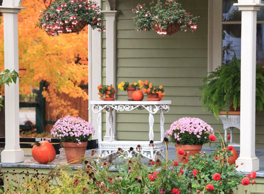 Embrace nature with this garden verandah designs