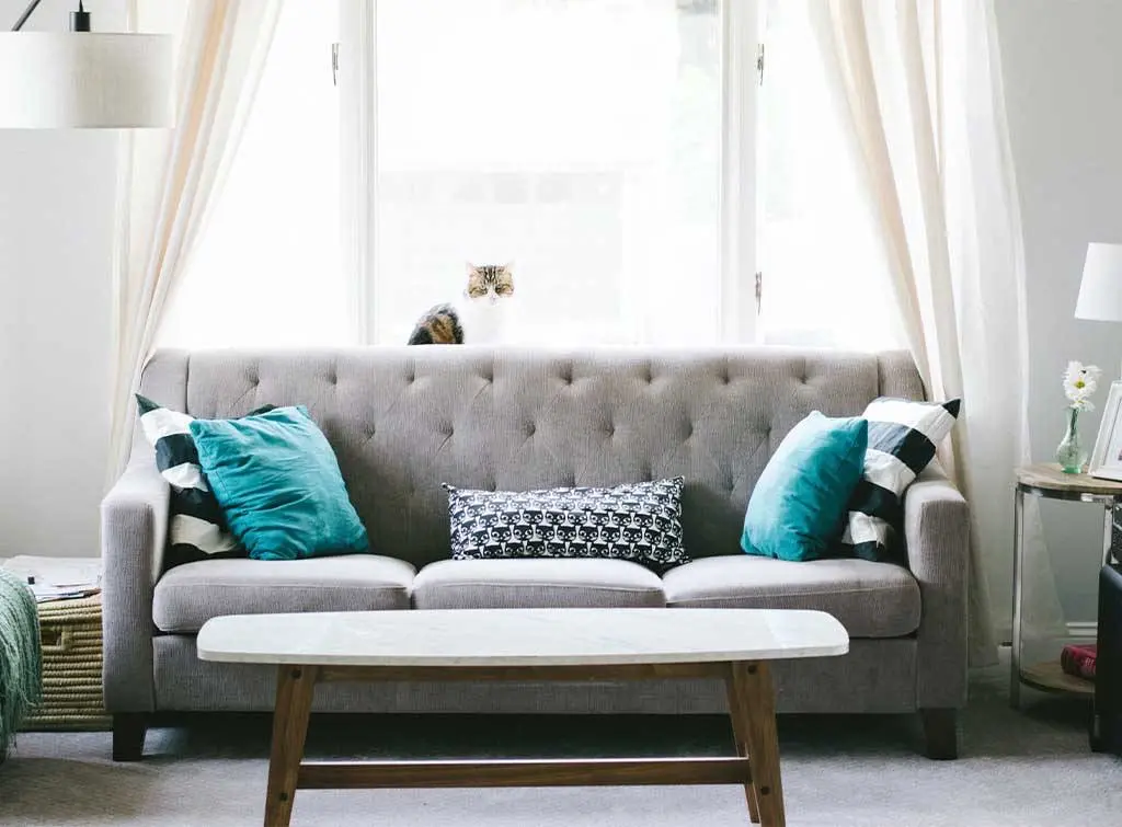 https://www.checkatrade.com/blog/wp-content/uploads/2022/03/Sofa-cleaning-3-1.jpg