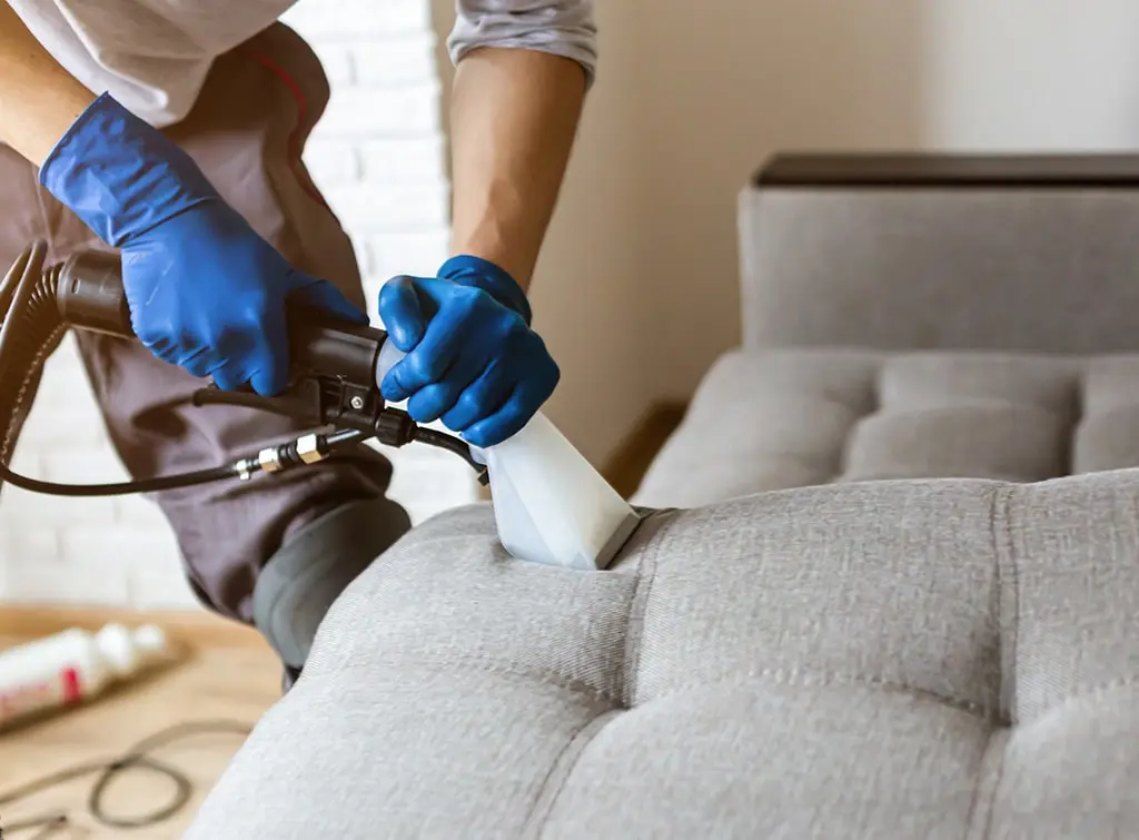 upholstery cleaners