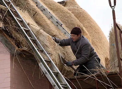 https://www.checkatrade.com/blog/wp-content/uploads/2021/10/thatching-training.jpg