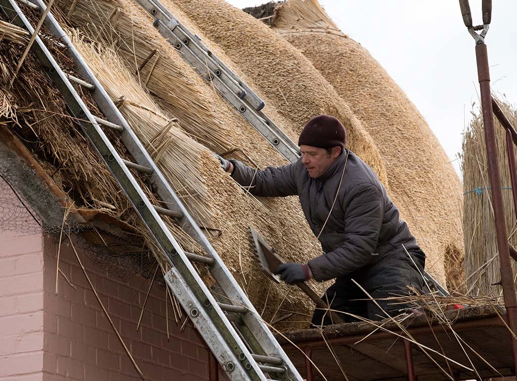 https://www.checkatrade.com/blog/wp-content/uploads/2021/10/thatching-training.jpg