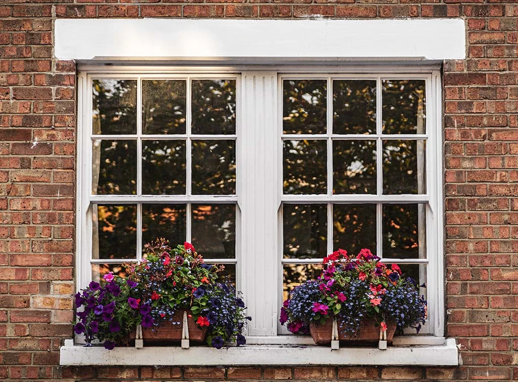 pair of window boxes