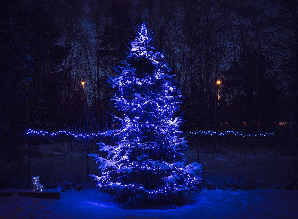 light up an outdoor christmas tree