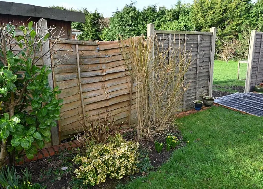 https://www.checkatrade.com/blog/wp-content/uploads/2025/02/fencing-in-need-of-local-repair-expert-1024x736.jpeg