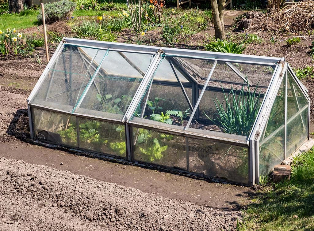 Making a cold frame greenhouse