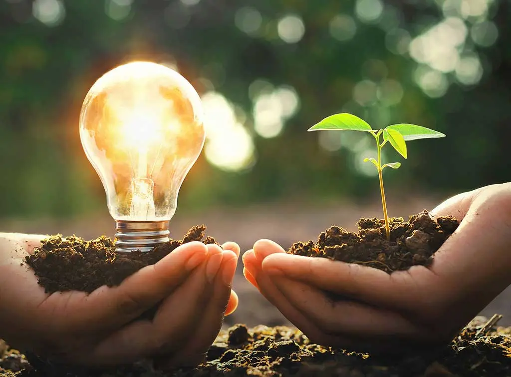 reducing carbon footprint