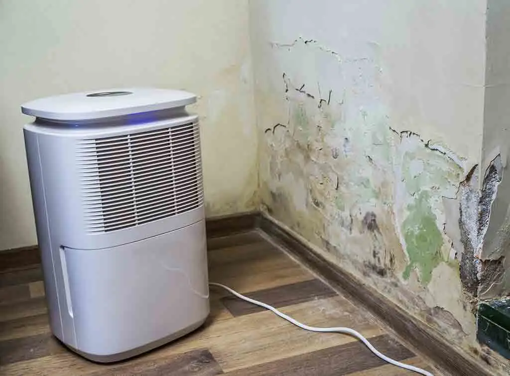 Small portable dehumidifier drying out room
