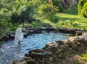 Beautiful garden pond ideas