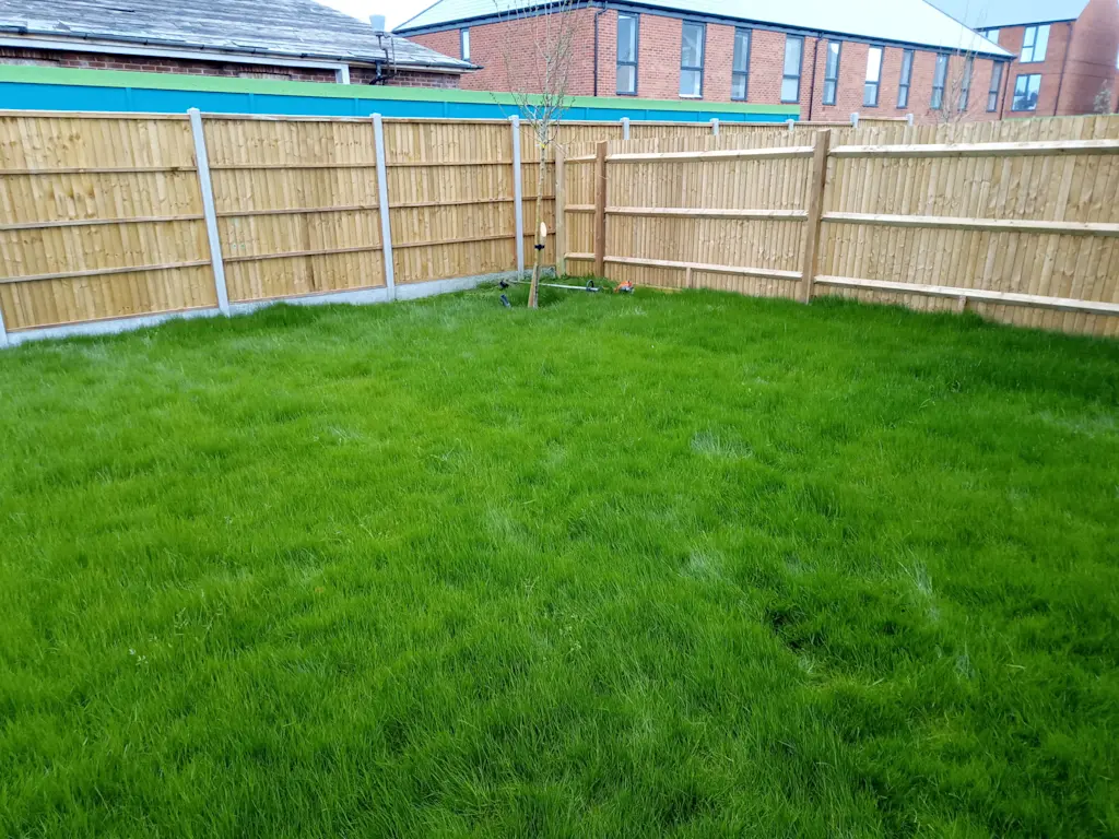 Before Al’s Garden Services began their work
