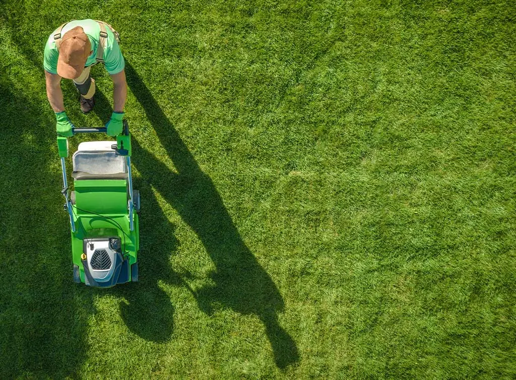https://www.checkatrade.com/blog/wp-content/uploads/2021/06/gardener-for-hire.jpg