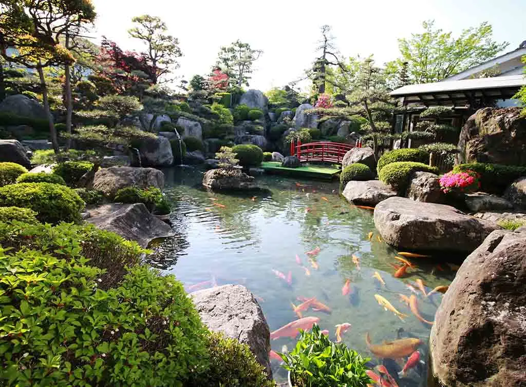 https://www.checkatrade.com/blog/wp-content/uploads/2021/04/Raised-koi-pond-ideas-3-1.jpg