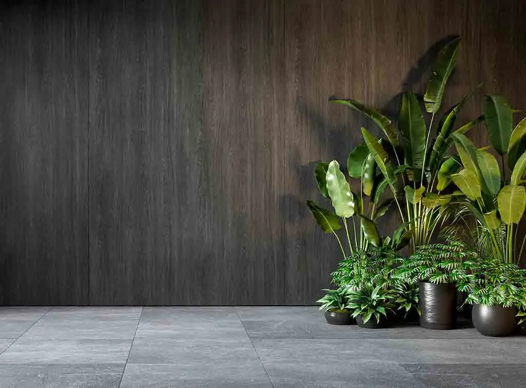 A wooden feature wall idea with plants in front of it