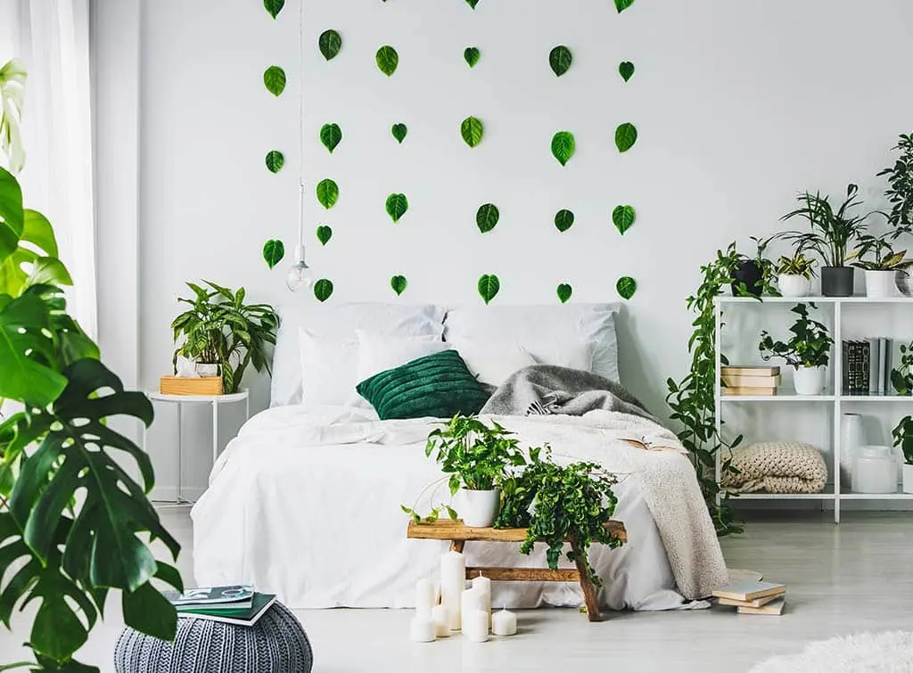 plants in the bedroom