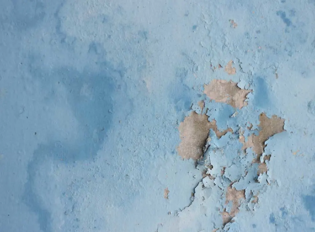 damp paint peeling