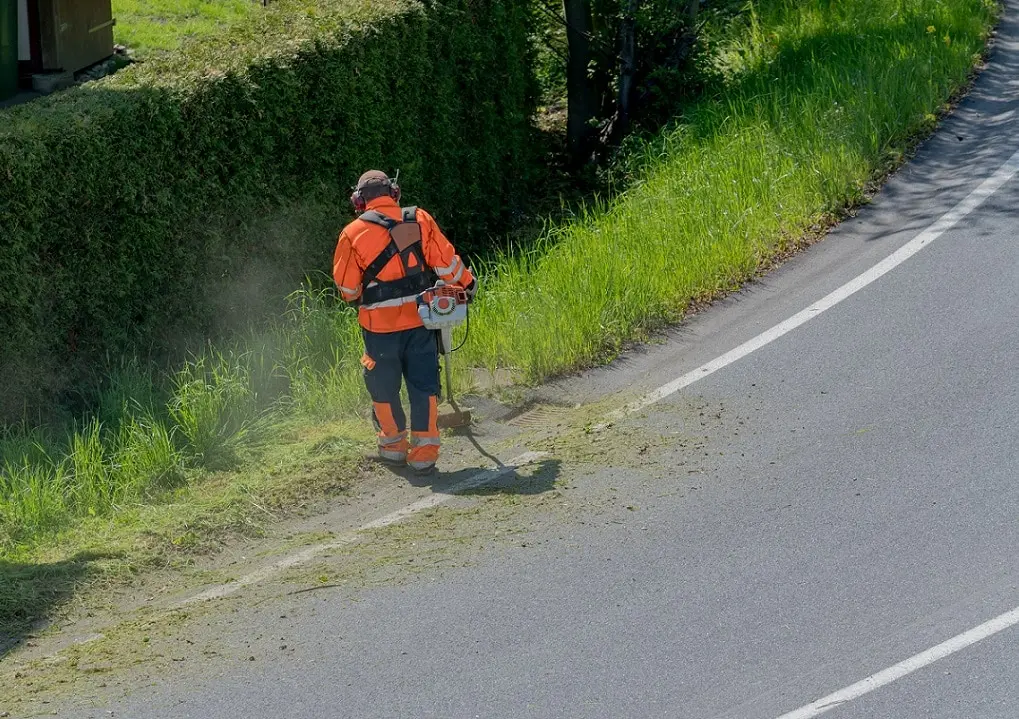 grass cutting business