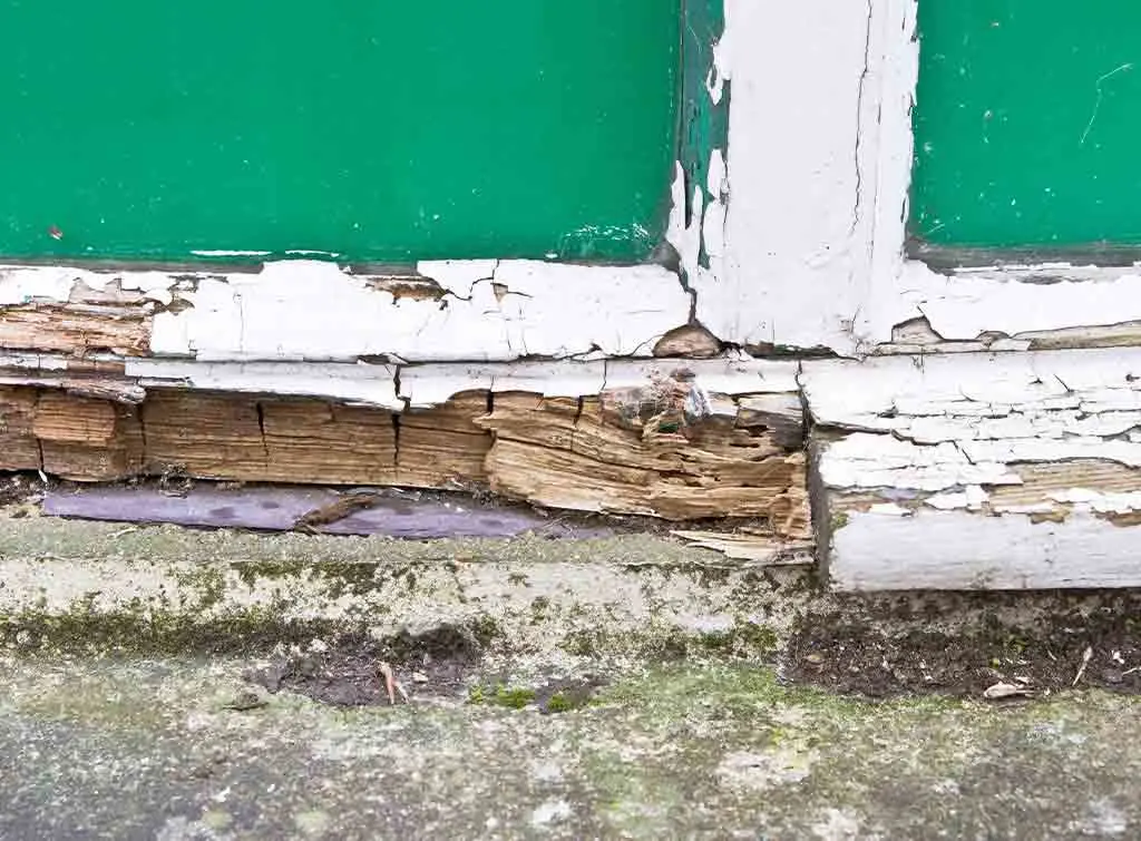 Cost to fix wood rot