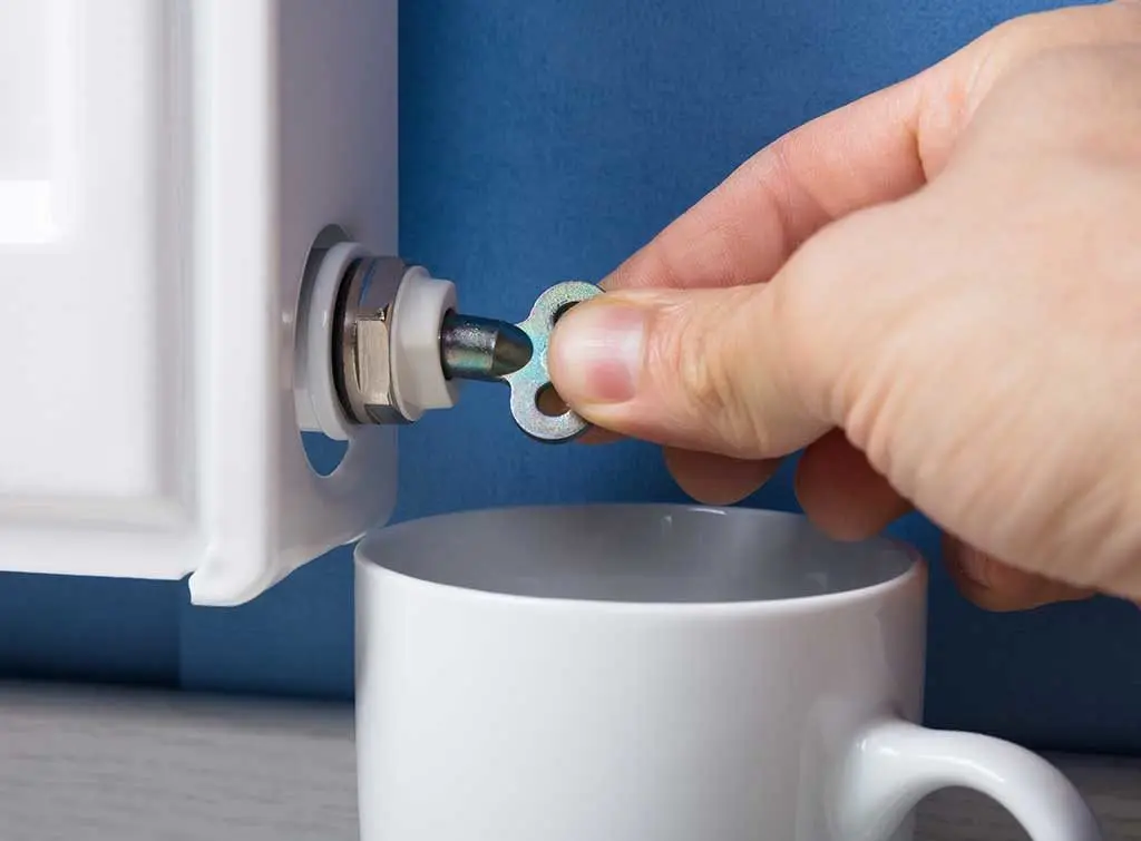 https://www.checkatrade.com/blog/wp-content/uploads/2024/11/bleeding-radiator.jpg