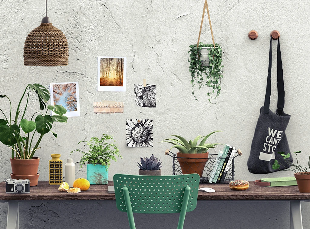 urban jungle desk area