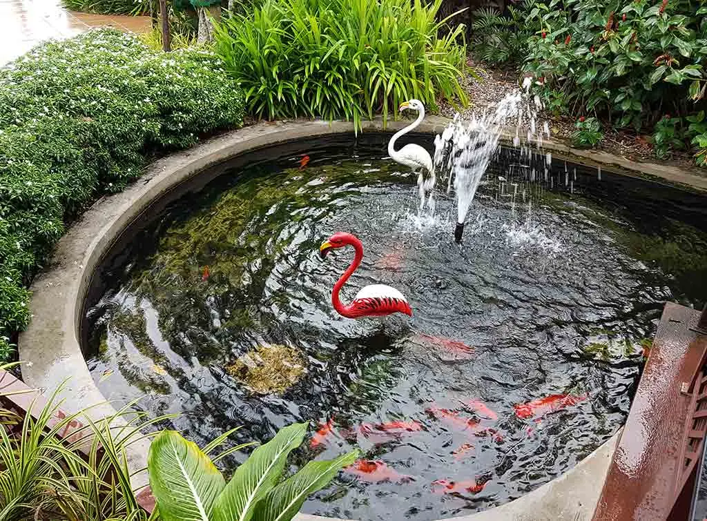https://www.checkatrade.com/blog/wp-content/uploads/2021/04/Raised-koi-pond-ideas-4.jpg