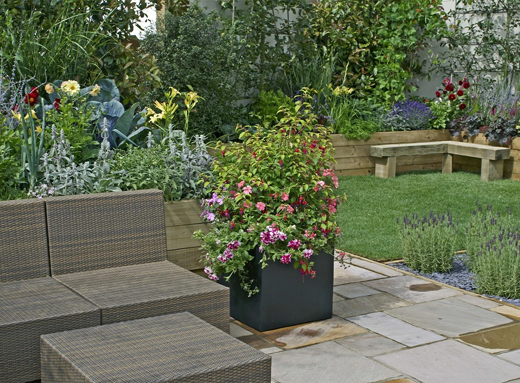 pick a planting schemed for raised borders