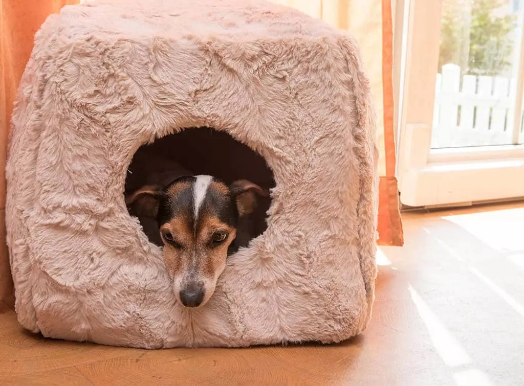 Ped bed ideas - pet cave