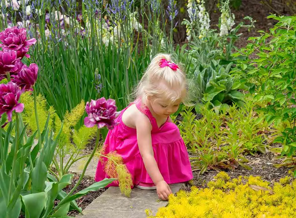 Sensory garden plants ideas