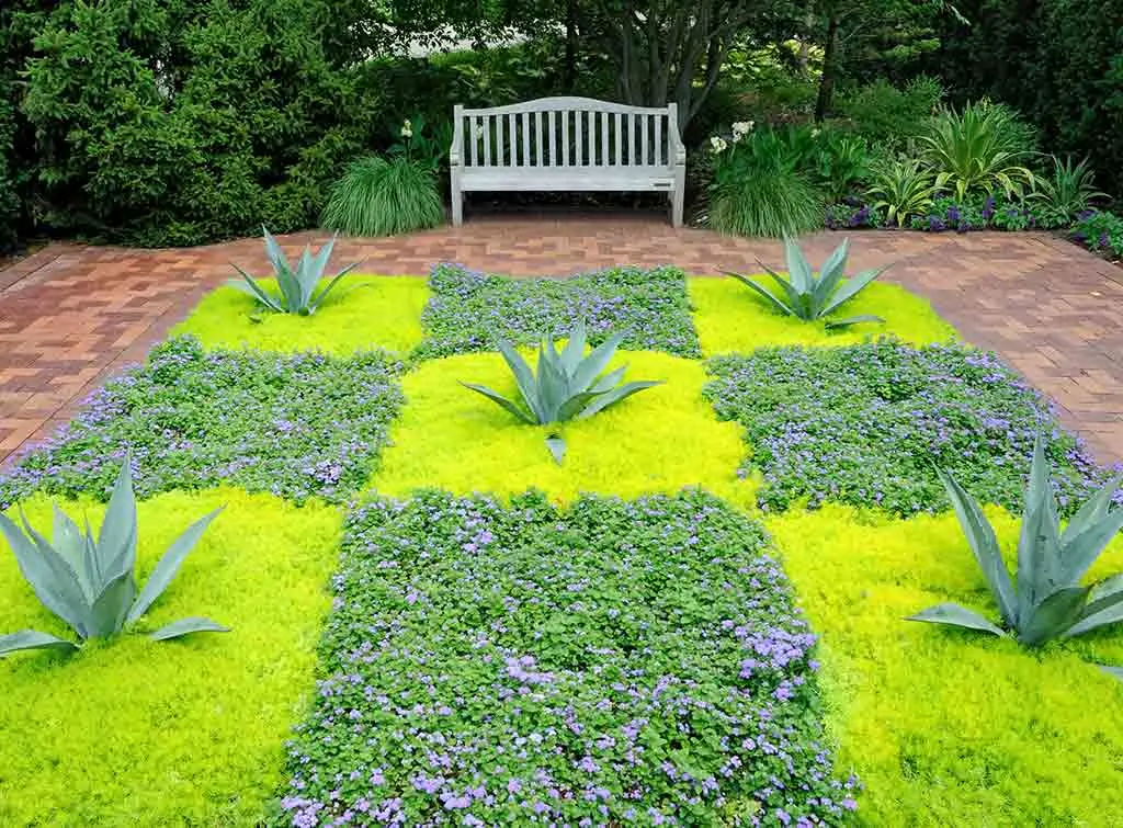 Chequered garden lawn and flowers