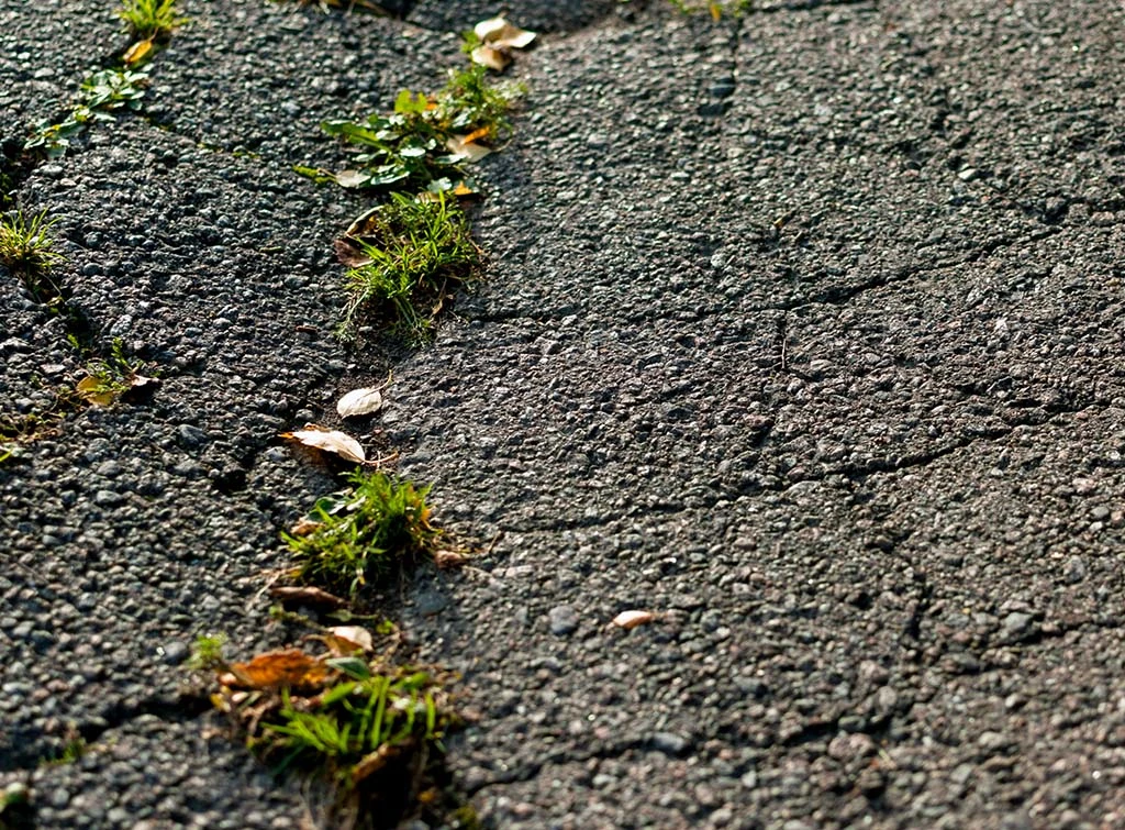 Driveway cleaning services near me