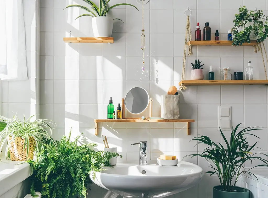 bathroom design with lots of plants