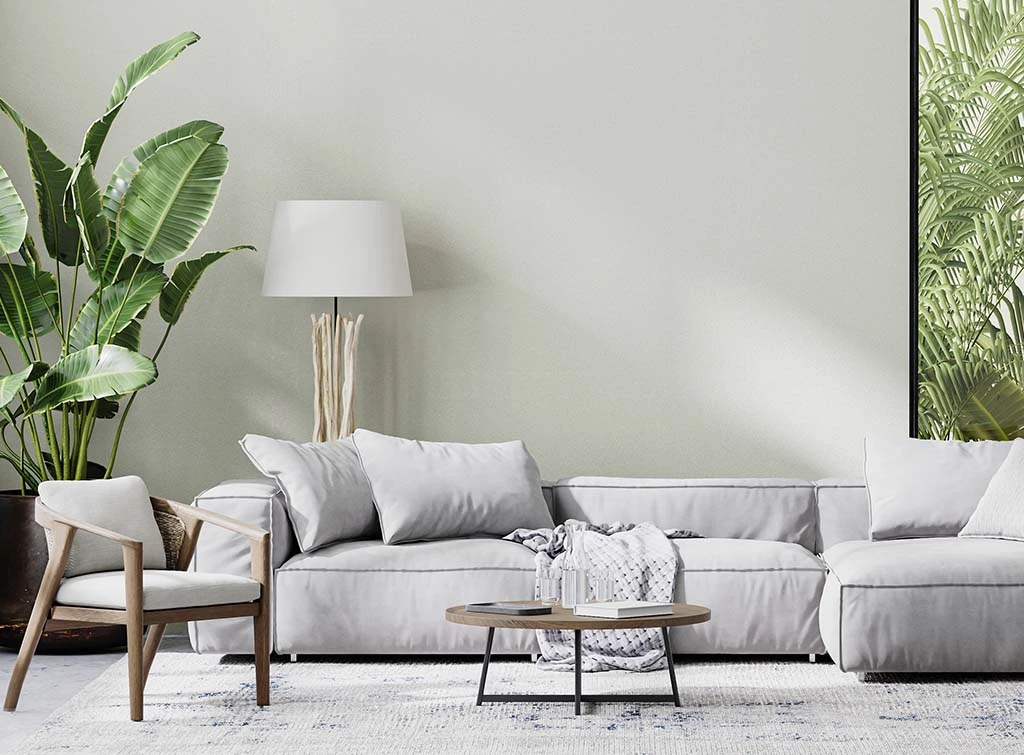 Neutral living room with grey carpet