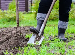 Lawn with bare spots