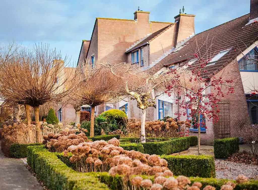 Colour co-ordinated planting and boundary hedges add charm