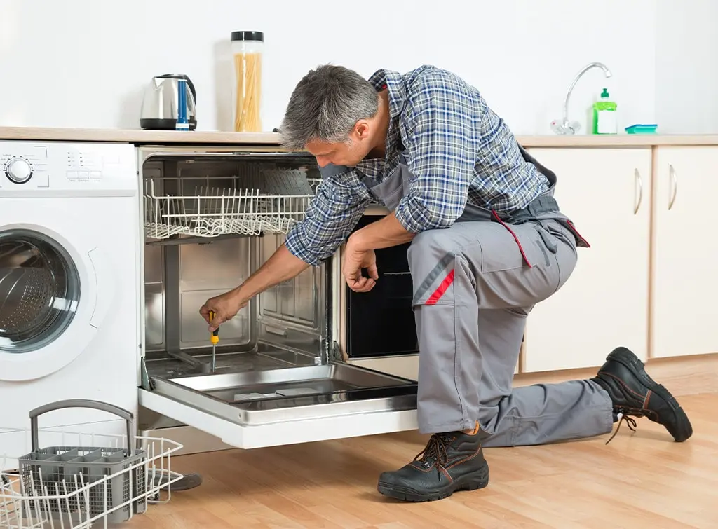 dishwasher water not draining