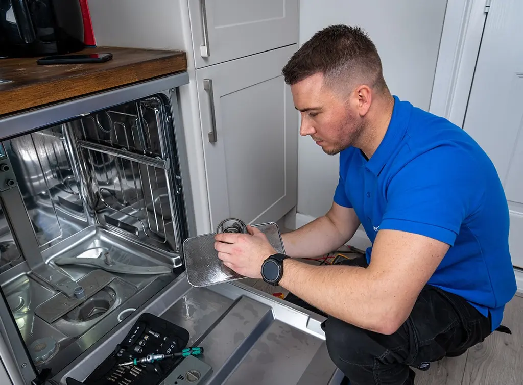 Removing a dishwasher filter