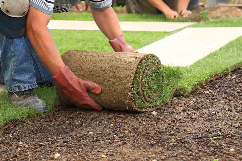 Turfing companies near me