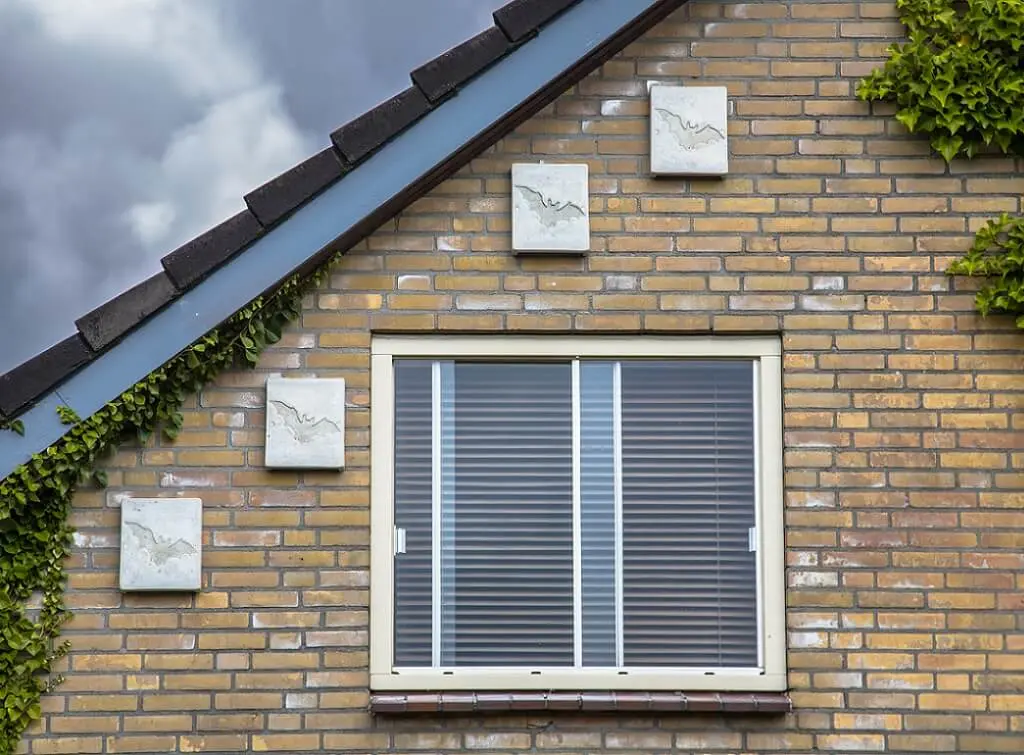 https://www.checkatrade.com/blog/wp-content/uploads/2024/11/bat-boxes-attached-to-home.jpeg