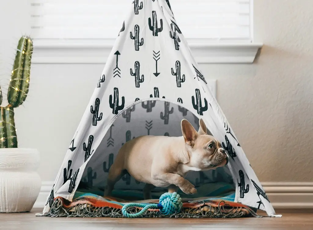 Dog bedroom ideas -dog teepee