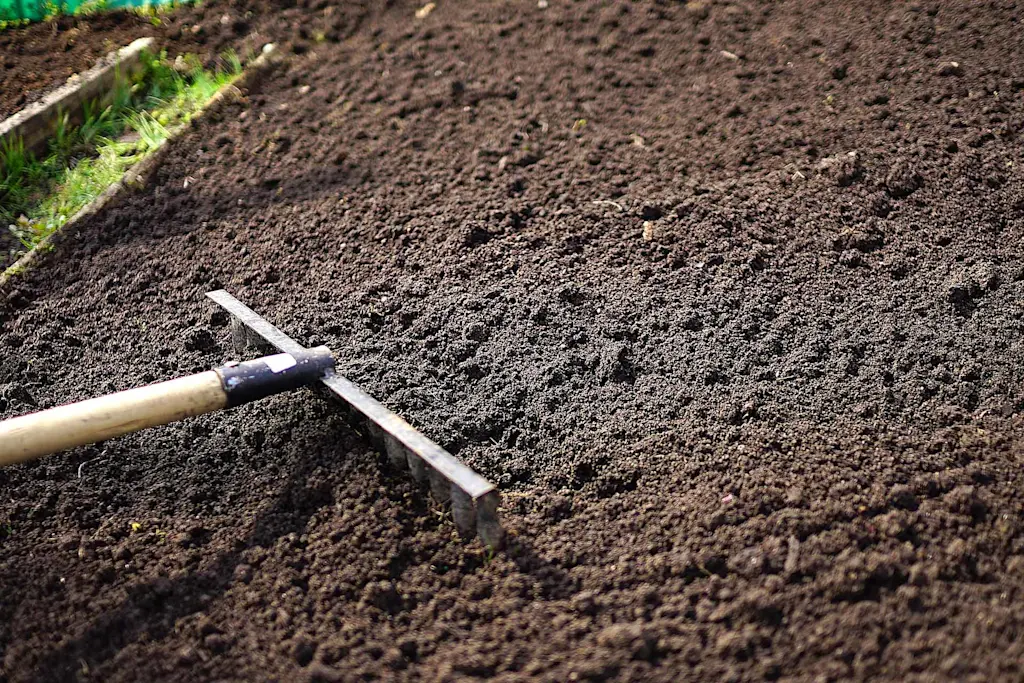 How to get rid of topsoil the right way